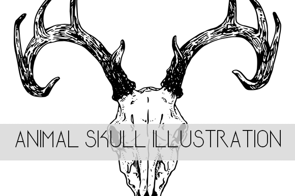 Animal Skull - Deer Illustration: A Modern Western Icon